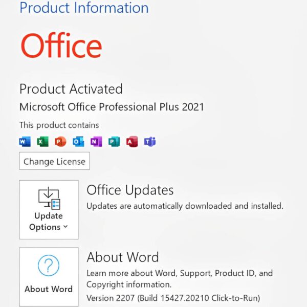 Microsoft Office 2021 Professional Plus Lifetime License Key